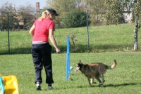 /album/fotogalerie-axis-nieder-bohemia/a181355-2258361793769-784626039-n-jpg/