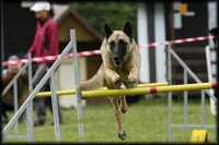 /album/fotogalerie-axis-nieder-bohemia/a549729-2345601054696-1926304683-n-jpg/