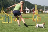 /album/agility-saba/a7301-3267440740112-1349122389-n-jpg/