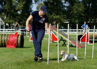 /album/agility-saba/a17490-3267440340102-1846160914-n-jpg/