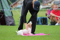 /album/agility-saba/a294356-2426194389479-452670608-n-jpg/