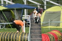 /album/agility-saba/a547249-2258333073051-184416624-n-jpg/