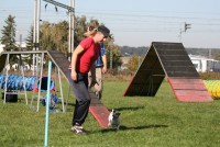 /album/agility-saba/a562148-2258338073176-1279958083-n-jpg/