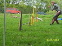 /album/agility-saba/a601165-2258352353533-1133486037-n-jpg/