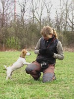 /album/poslusnost-triky-saba/brita-243-jpg/