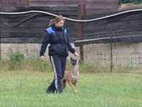 /album/sport-kynologie-axis-nieder-bohemia/dsc-0114-jpg1/