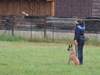 /album/sport-kynologie-axis-nieder-bohemia/dsc-0118-jpg1/