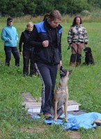 /album/sport-kynologie-axis-nieder-bohemia/dsc-0229-jpg1/
