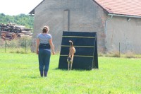 /album/sport-kynologie-axis-nieder-bohemia/img-3157-jpg/