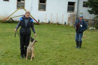 /album/sport-kynologie-axis-nieder-bohemia/p1000641-jpg/